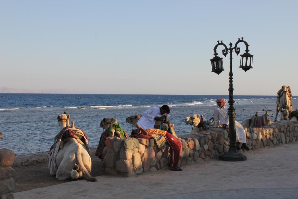 La Reine Dahab Hotel Exteriér fotografie