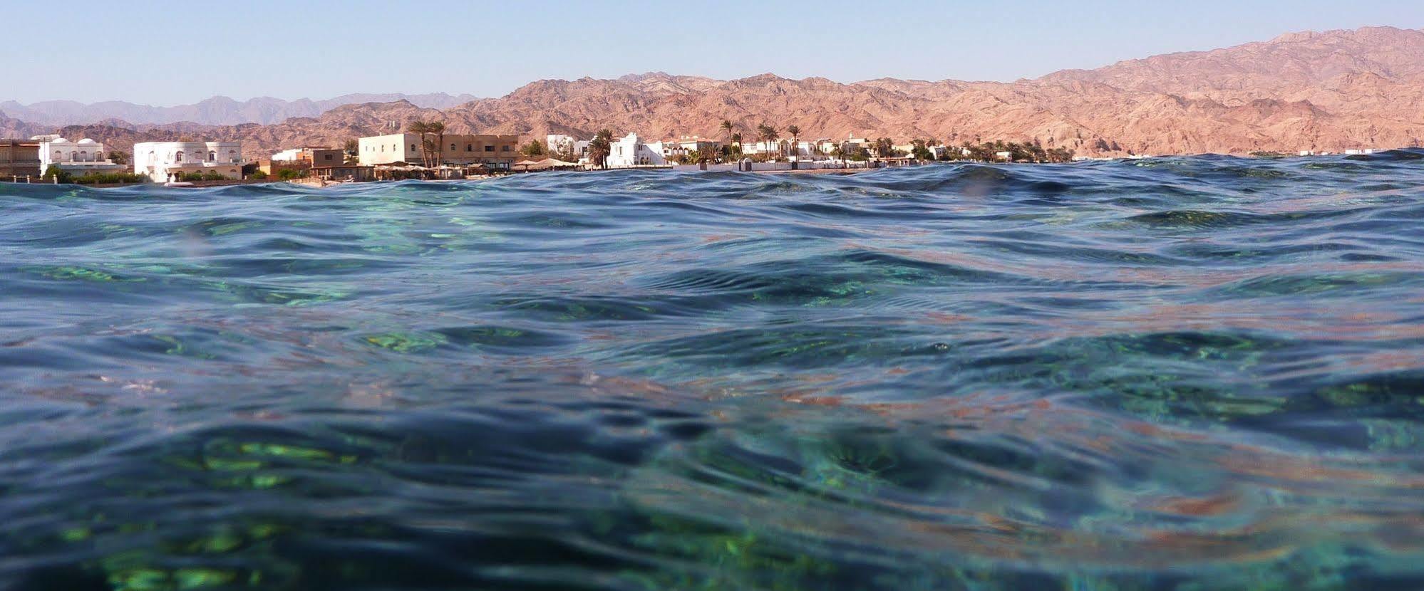 La Reine Dahab Hotel Exteriér fotografie